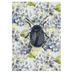 Beetle loves Hydrangea Design