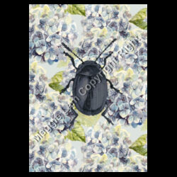 Beetle loves Hydrangea Design
